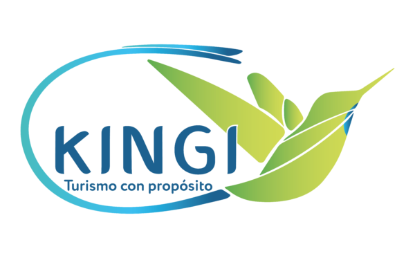 KINGI AUMENTADO _Mesa de trabajo 1